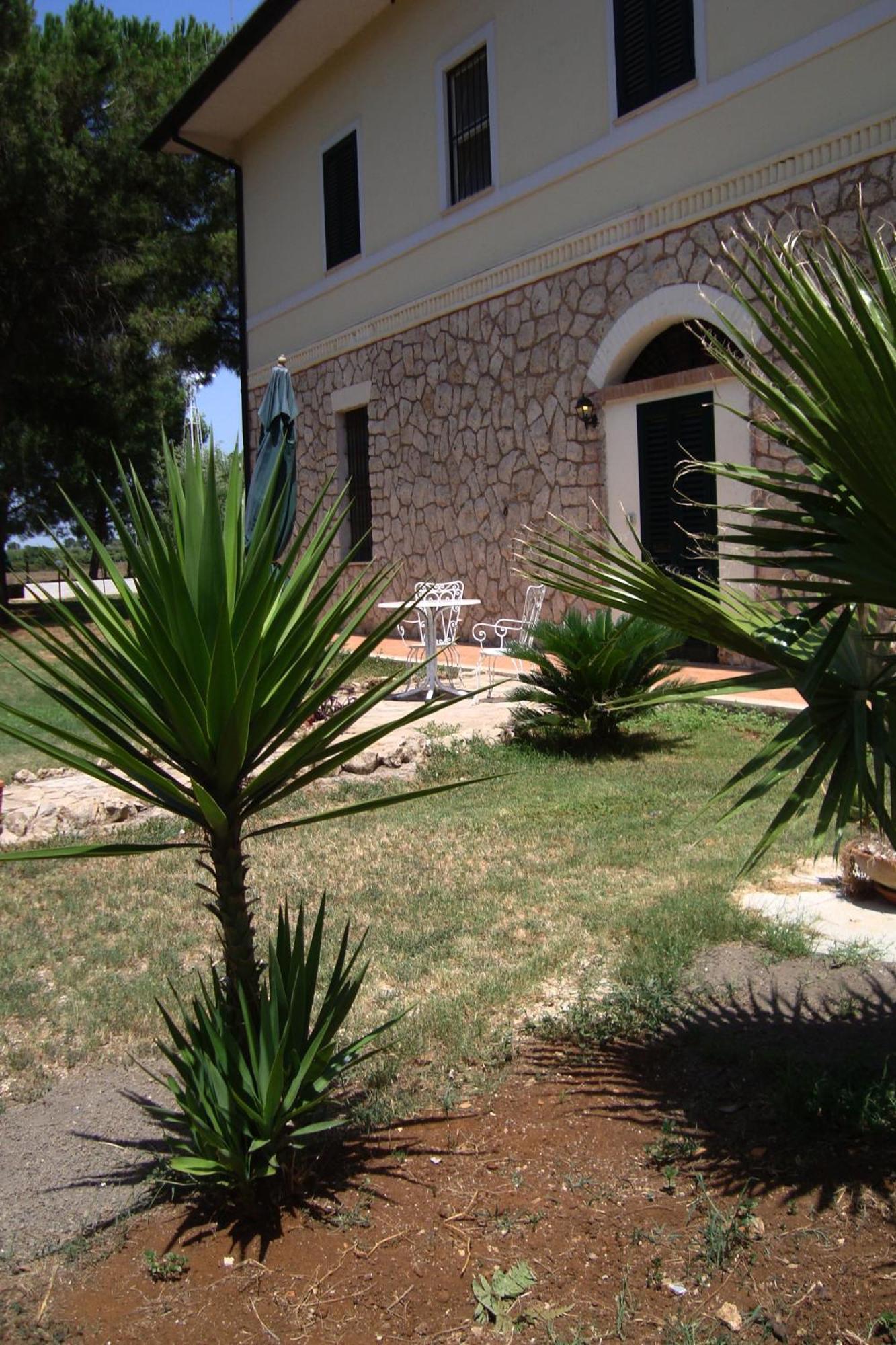 Agriturismo Ali E Radici Cisterna di Latina Pokoj fotografie