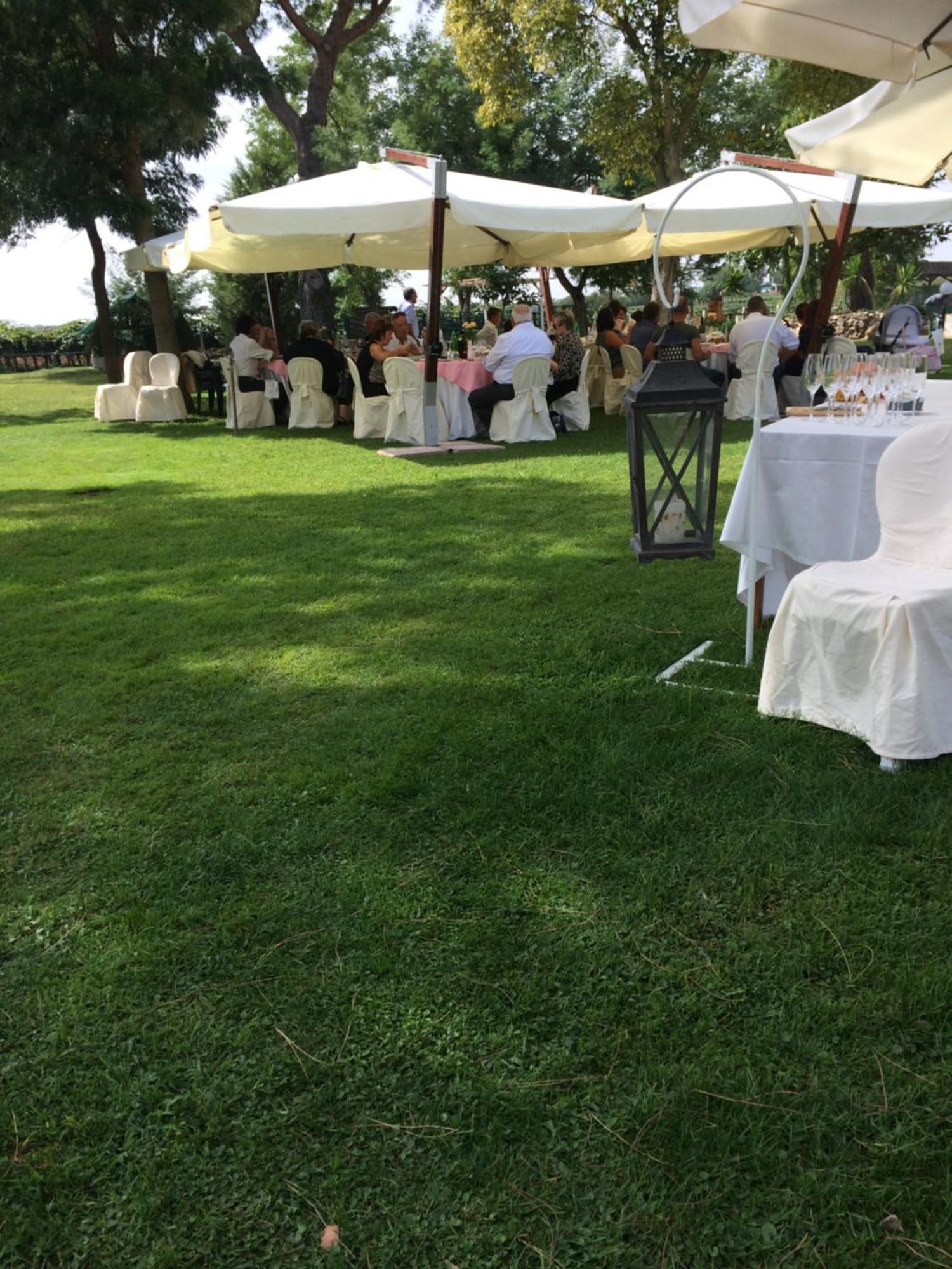 Agriturismo Ali E Radici Cisterna di Latina Exteriér fotografie